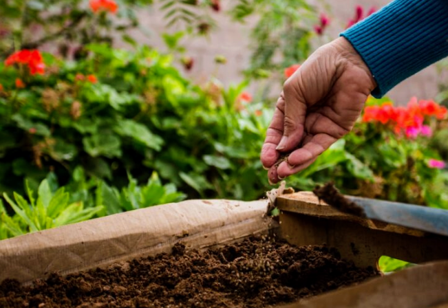 Entrega de semillas Mar&nbsp;Chiquita