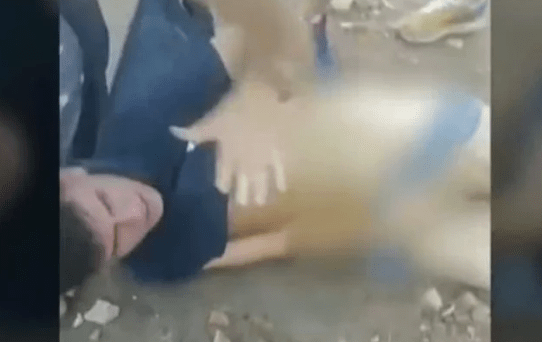 Los vecinos redujeron a tres&nbsp;ladrones