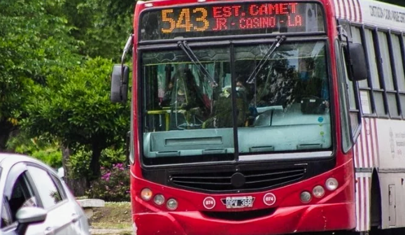Choferes, medidas de&nbsp;fuerza