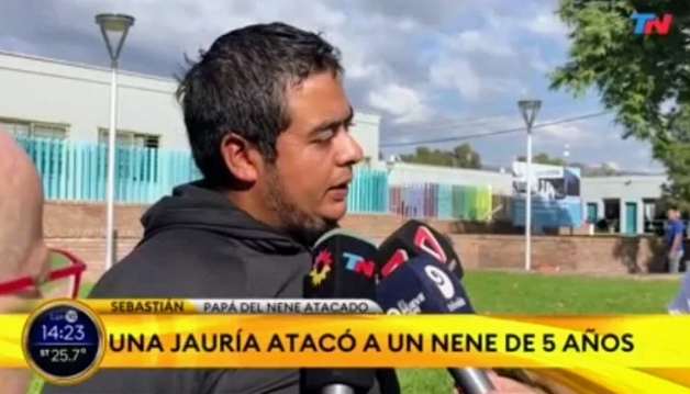 Un nene de 5 años está grave tras ser atacado por una&nbsp;jauría