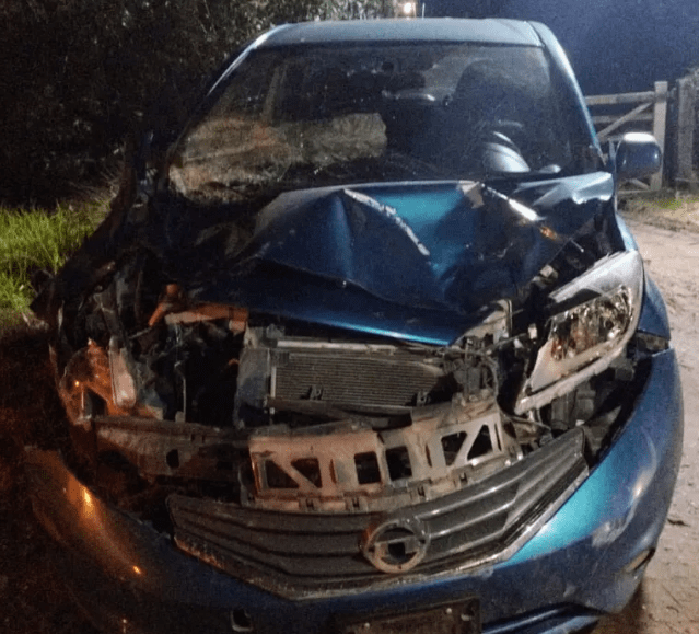 Embistió a dos&nbsp;caballos